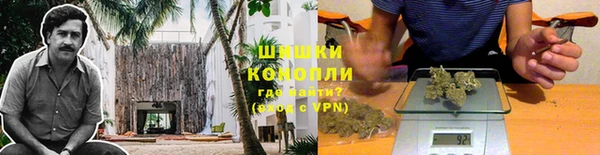 ешки Каменногорск