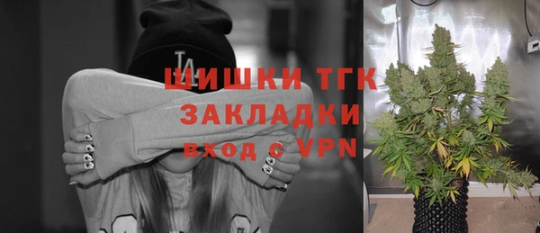 хмурый Каменка