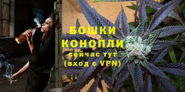 ешки Каменногорск