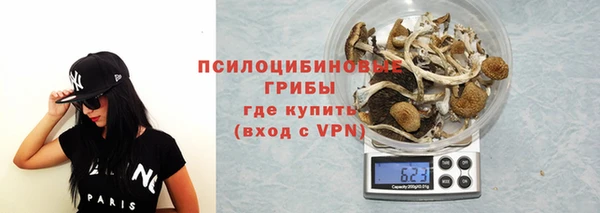 ешки Каменногорск