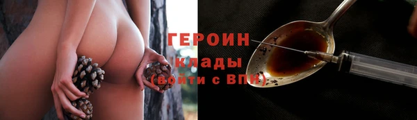 хмурый Каменка