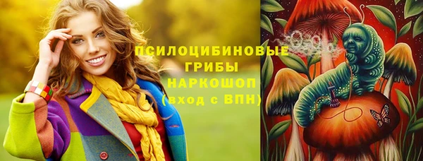 хмурый Каменка