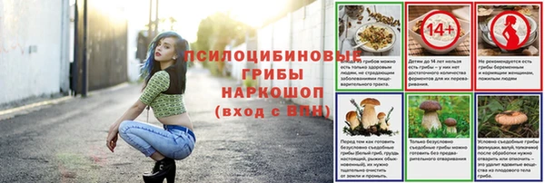 хмурый Каменка