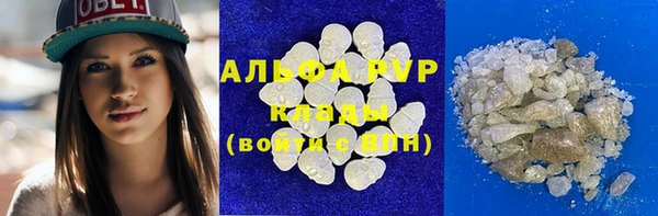 ешки Каменногорск