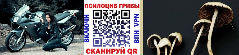 Псилоцибиновые грибы ЛСД  Купить где  Нерехта 
