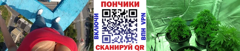 Купить где  Нерехта  Марихуана гибрид 